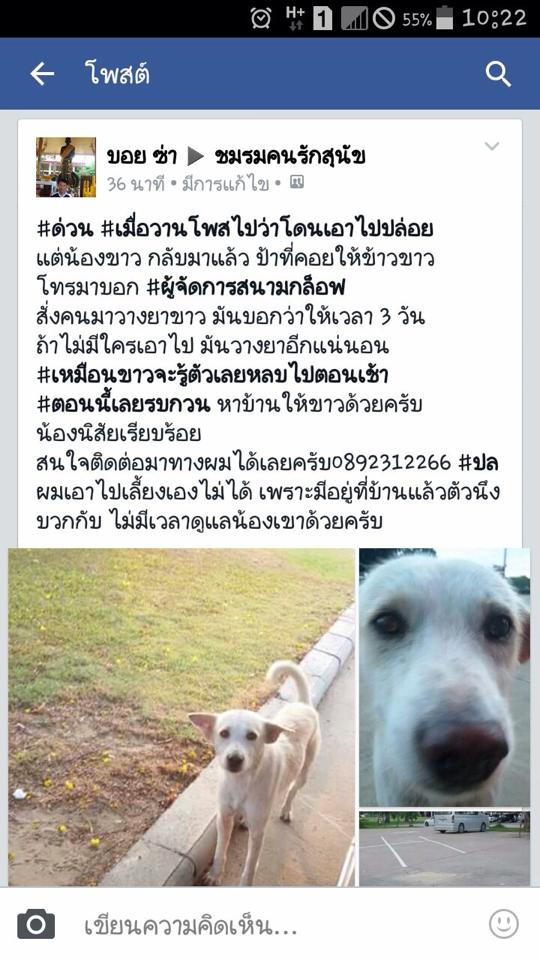 วางยาสุนัข