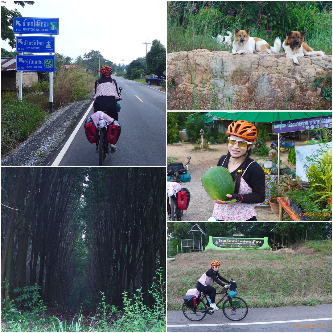 รูปภาพ