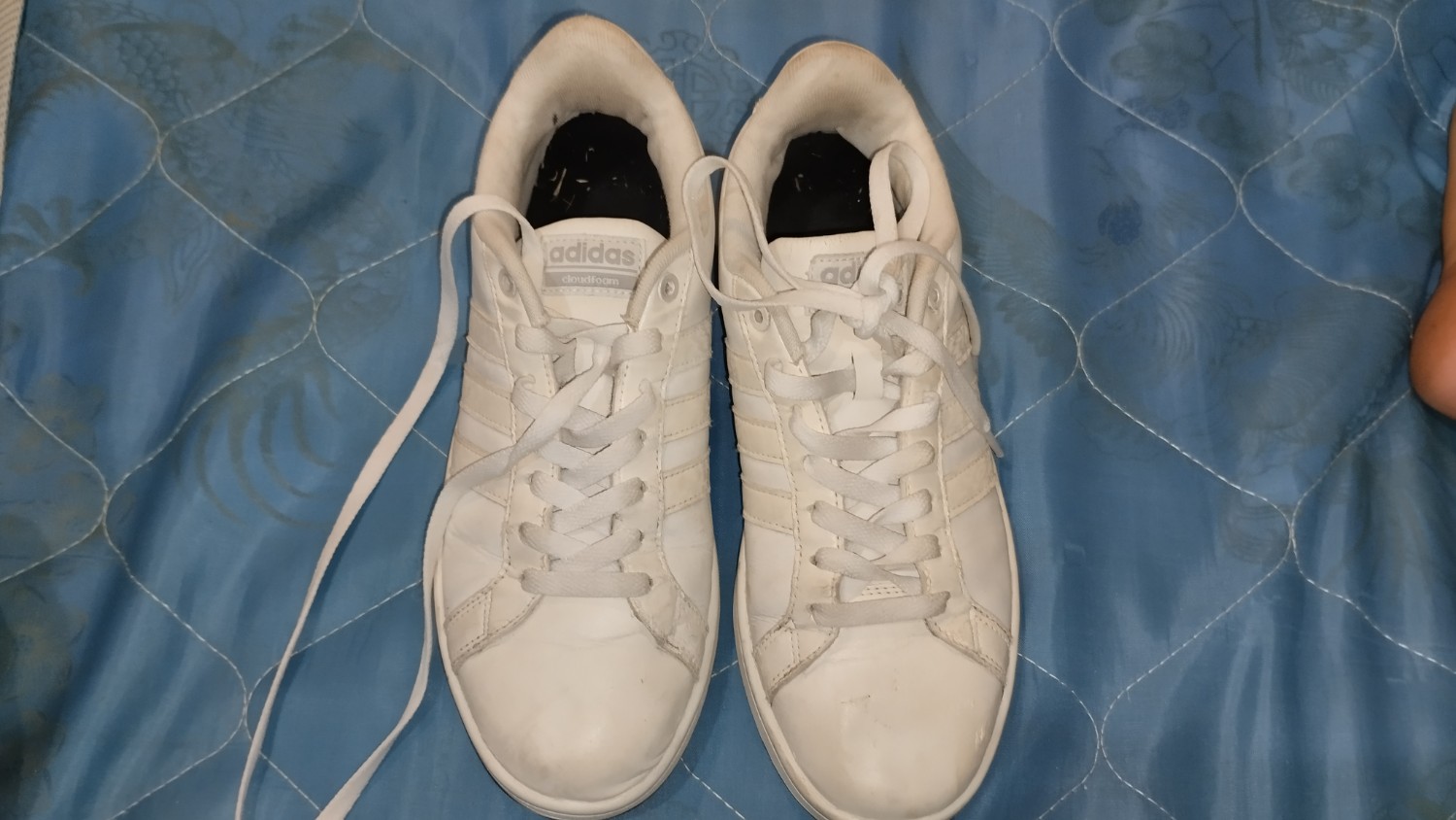 Adidas neo sale pantip