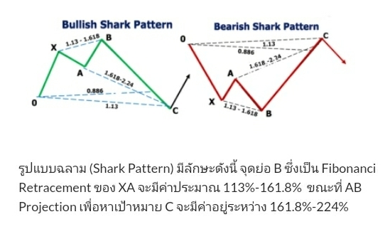 template forex pantip