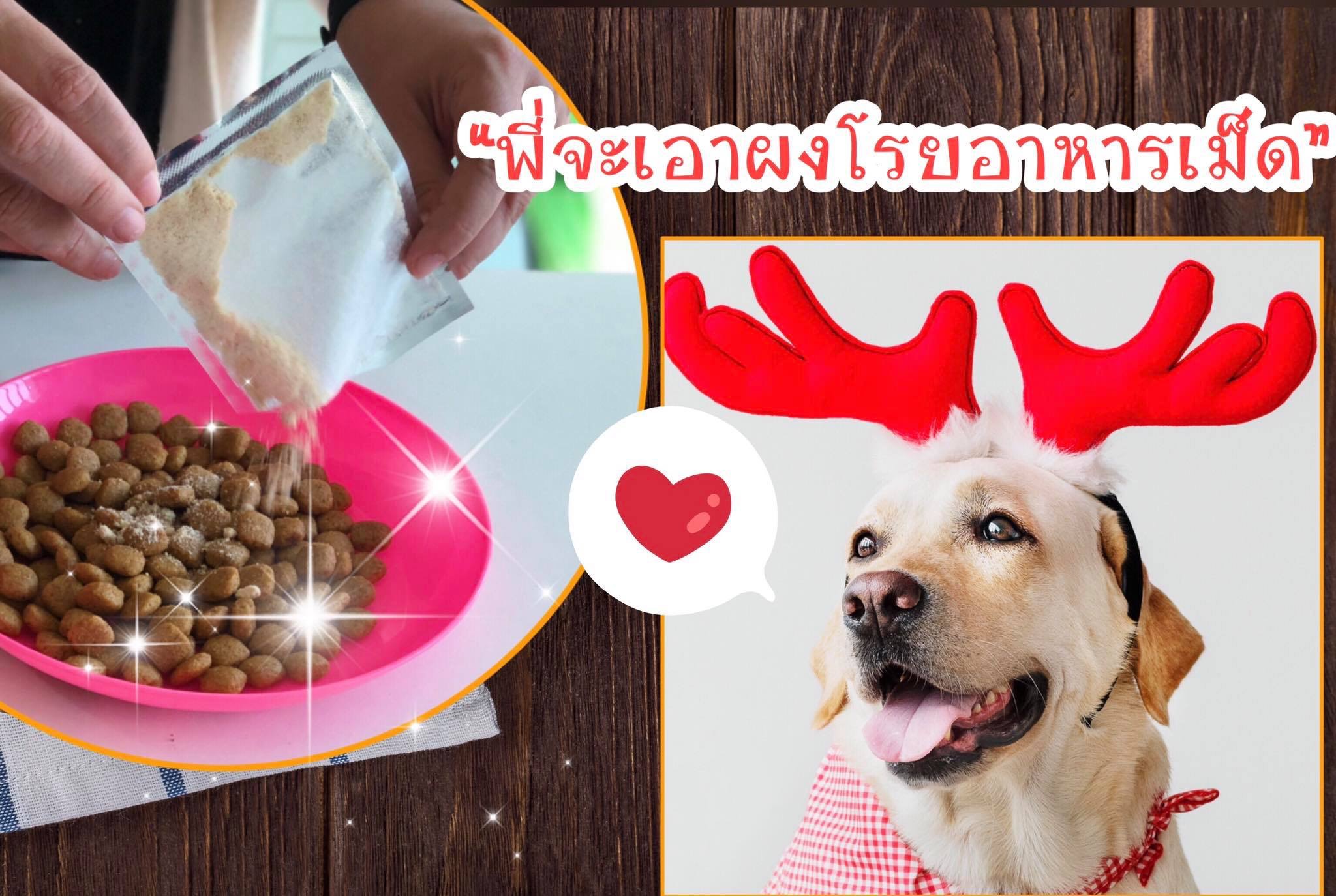  Chicken Meat Powder To Mix With Dog 