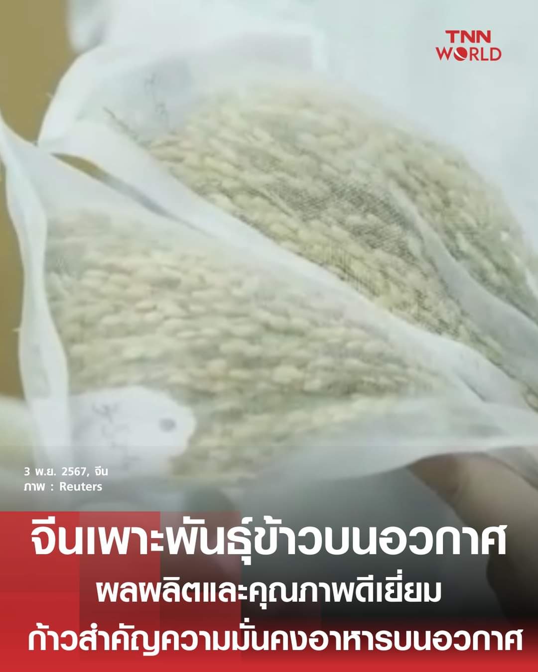 สุดล้ำ  จีนเพาะพันธ์ข้าวบนอวกาศ ผลผลิตและคุณภาพดีเยี่ยม - 