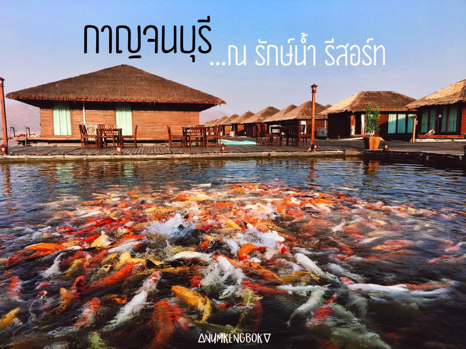 Review "ที่พัก@กาญจนบุรี...รักษ์น้ำ รีสอร์ท" - Pantip