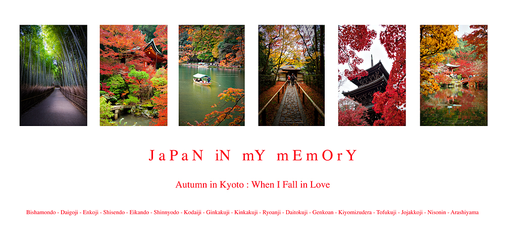 ใบไม้เปลี่ยนสีที่เกียวโต 2016 : เมื่อฉันตกหลุมรัก Autumn In Kyoto 2016 :  When I Fall In Love - Pantip