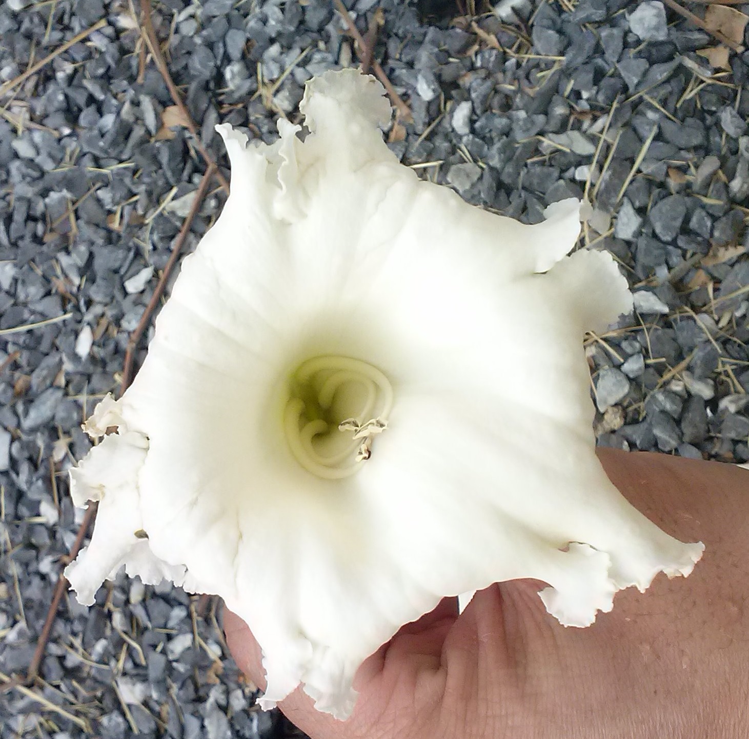 My Image 14