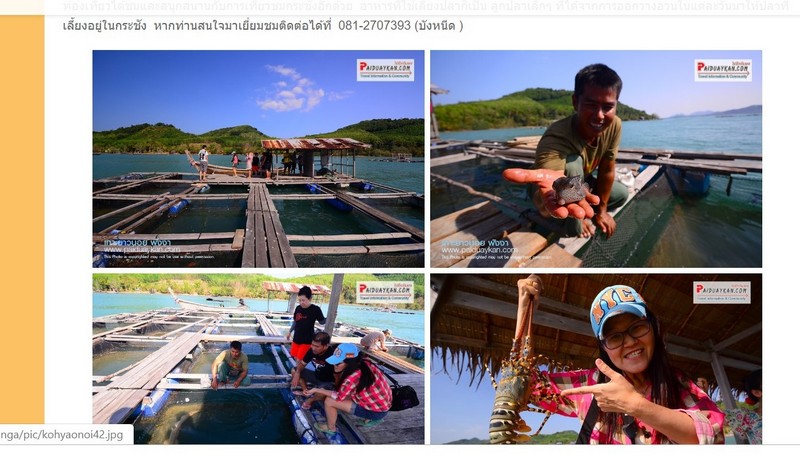 รีวิว ทริปโฮมเสตย์เกาะยาวน้อย 3 วัน 2 คืน นอนบ้านชาวประมง กินปู ดูปลา  จับกุ้งมังกร - Pantip