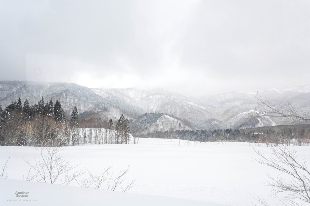 Akita in The Winter : อาคิตะหน้าหนาว ก็จะขาวประมาณนี้ - Pantip