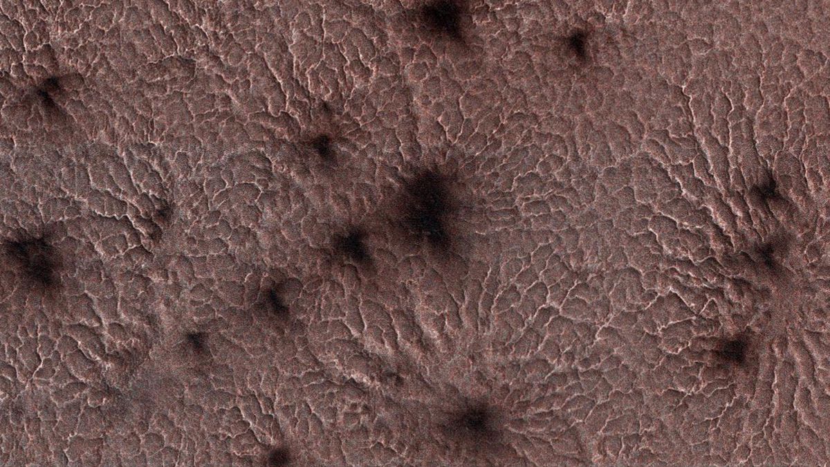 Nasa orbiter detects infant versions of 'spiders' on Mars-World News ,  Firstpost