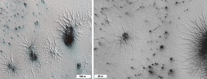 Nasa orbiter detects infant versions of 'spiders' on Mars-World News ,  Firstpost