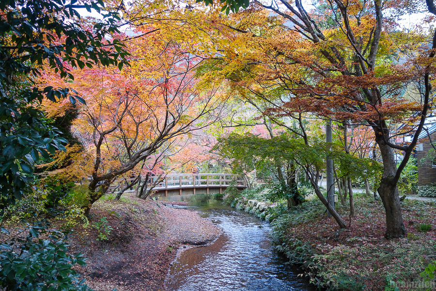 8 วัน 8 เมือง – ทริปลุยเดี่ยวเที่ยวญี่ปุ่น ช่วงใบไม้เปลี่ยนสี – [Part 2  Yufuin เมืองในฝัน] - Pantip