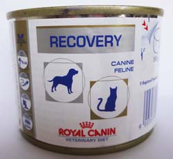 Royal canin 2025 recovery pantip