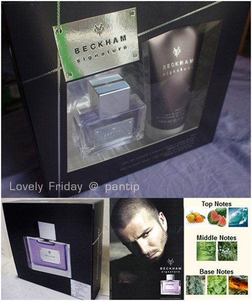 burberry brit for him pantip