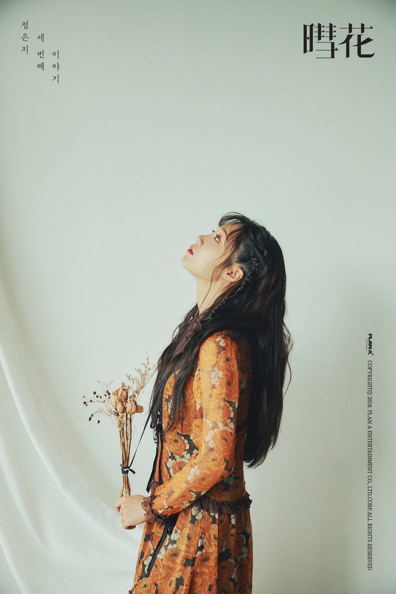 「apink」 정은지jeong Eunji 3rd Mini Album 혜화暳花 Teaser Image 5 Pantip 7400