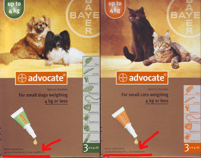 advocate แมว pantip 2