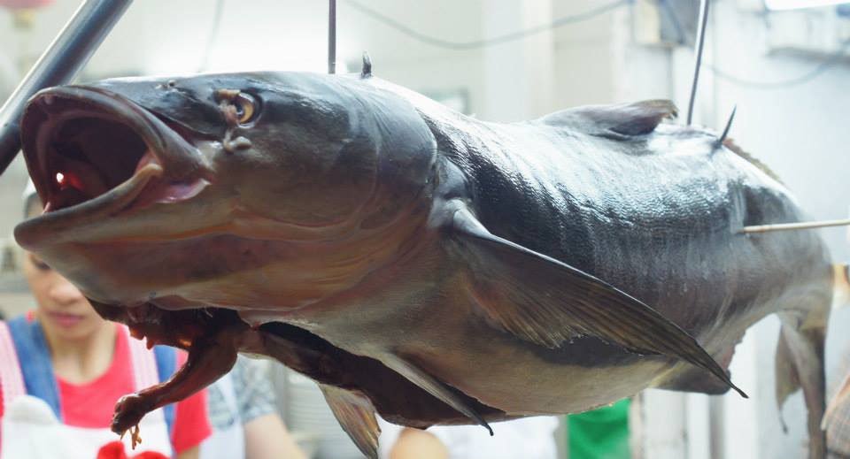 ข้าวต้มปลาในตำนาน(กิมโป้) - Pantip