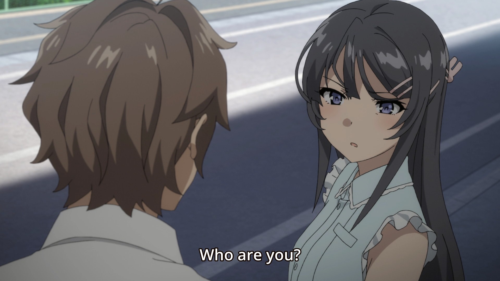 Seishun Buta Yarou wa Bunny Girl Senpai no Yume wo Minai  สาวอนิเมะ,  ห้องโอตาคุ, อนิเมะ