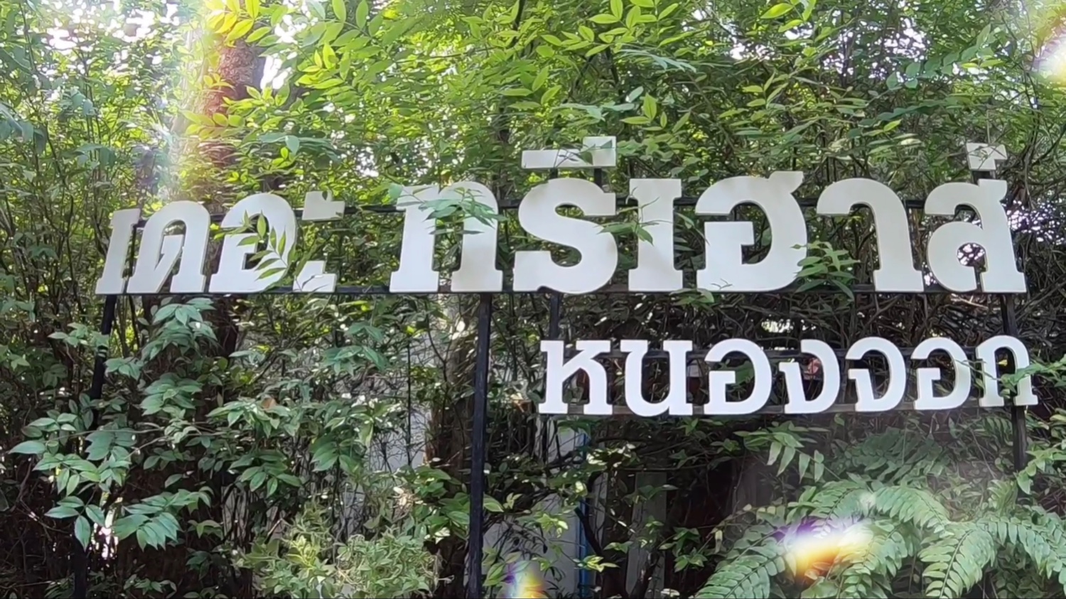 คาเฟ สายธรรมชาต The Tree House หนองจอก Pantip