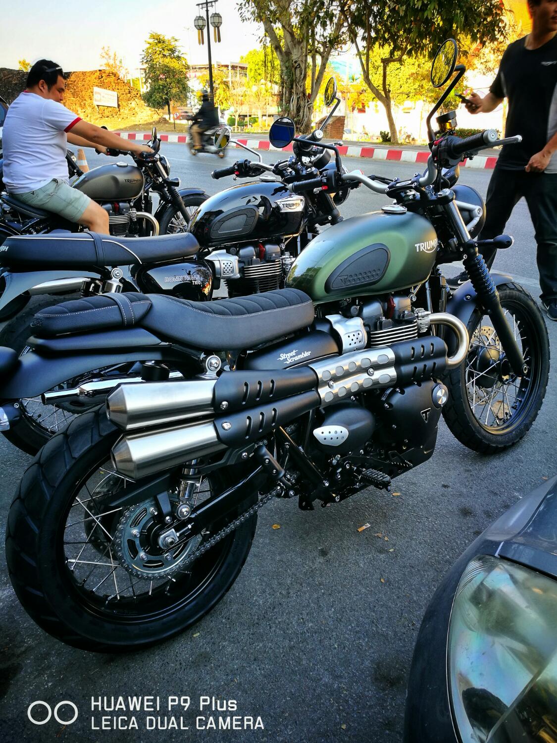 triumph street scrambler pantip