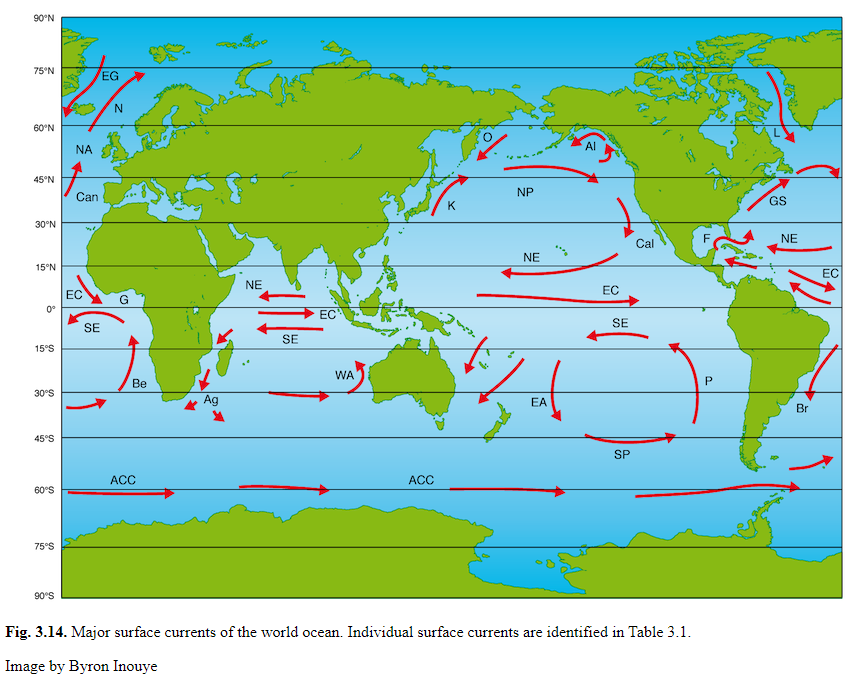 3 течения тихого океана. Морские течения. Карта морских течений. Тихий океан на карте. Ocean currents перевод.