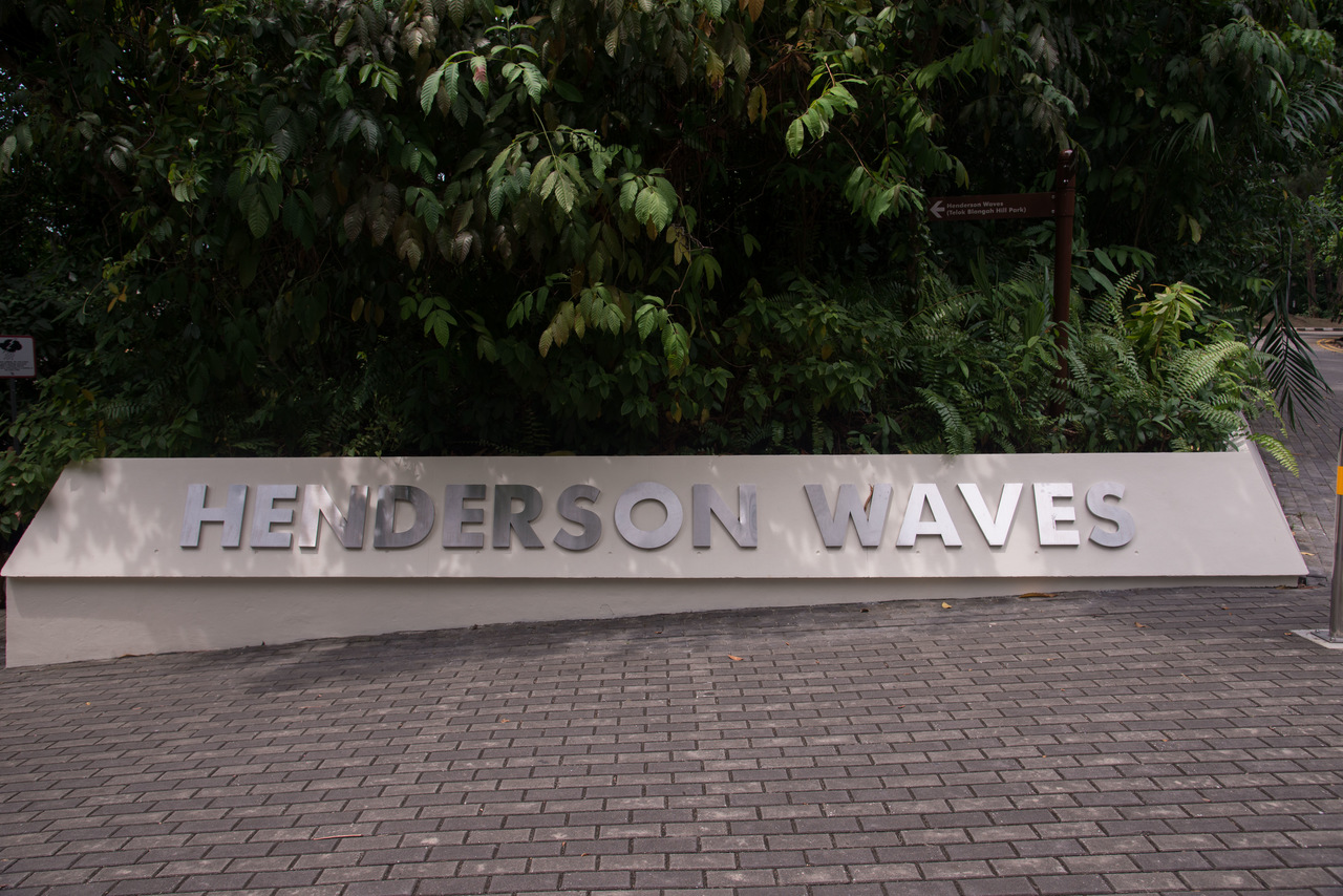 สะพาน henderson wave pantip length