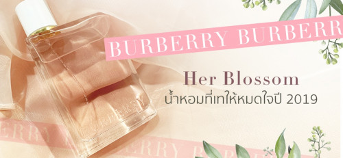 Burberry brit cheap sheer pantip