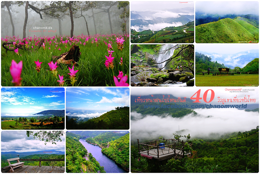 ชานมหนีเที่ยว : : หน้าฝนไปไหนดี : : ไกด์ไลน์ 40 วิวภูเขาทั่วไทย : : ของดีเมืองไทยทั้งนั้น - Pantip