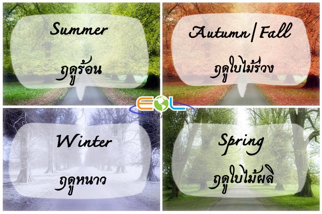 The Four Seasons ฤดูกาล ในภาษาอังกฤษทั้งที่มีในไทยและต่างประเทศ - Pantip