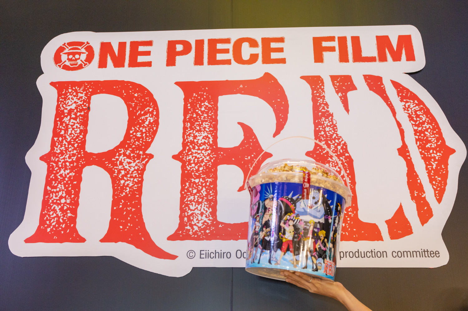Vai assistir 'One Piece Film: Red' nos cinemas? Separamos algumas dicas que  facilitarão a vida - Portal Nippon Já