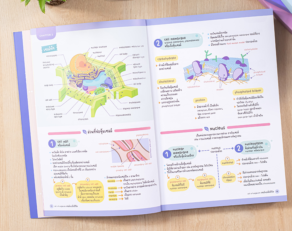 Visual Guide Life Science หนังสือคู่มือภาพชีววิทยา Visual Guide To Biology - Pantip