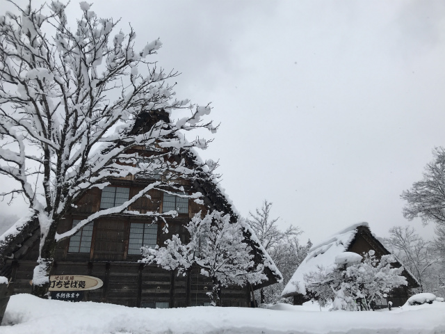 ทริปดูหิมะฟูๆ เมืองทาคายาม่า ชิราคาวาโกะ คานาซาว่า ปิดท้ายที่โอซาก้า  เมืองแห่งสีสัน - Pantip