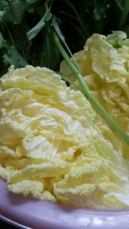 ผักกาดขาว มีสีเหลืองเข้มมาก ทานได้รึป่าว(มีรูป) - Pantip