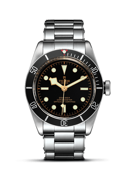 Omega seamaster diver 300 VS Tudor herritage black bay Pantip