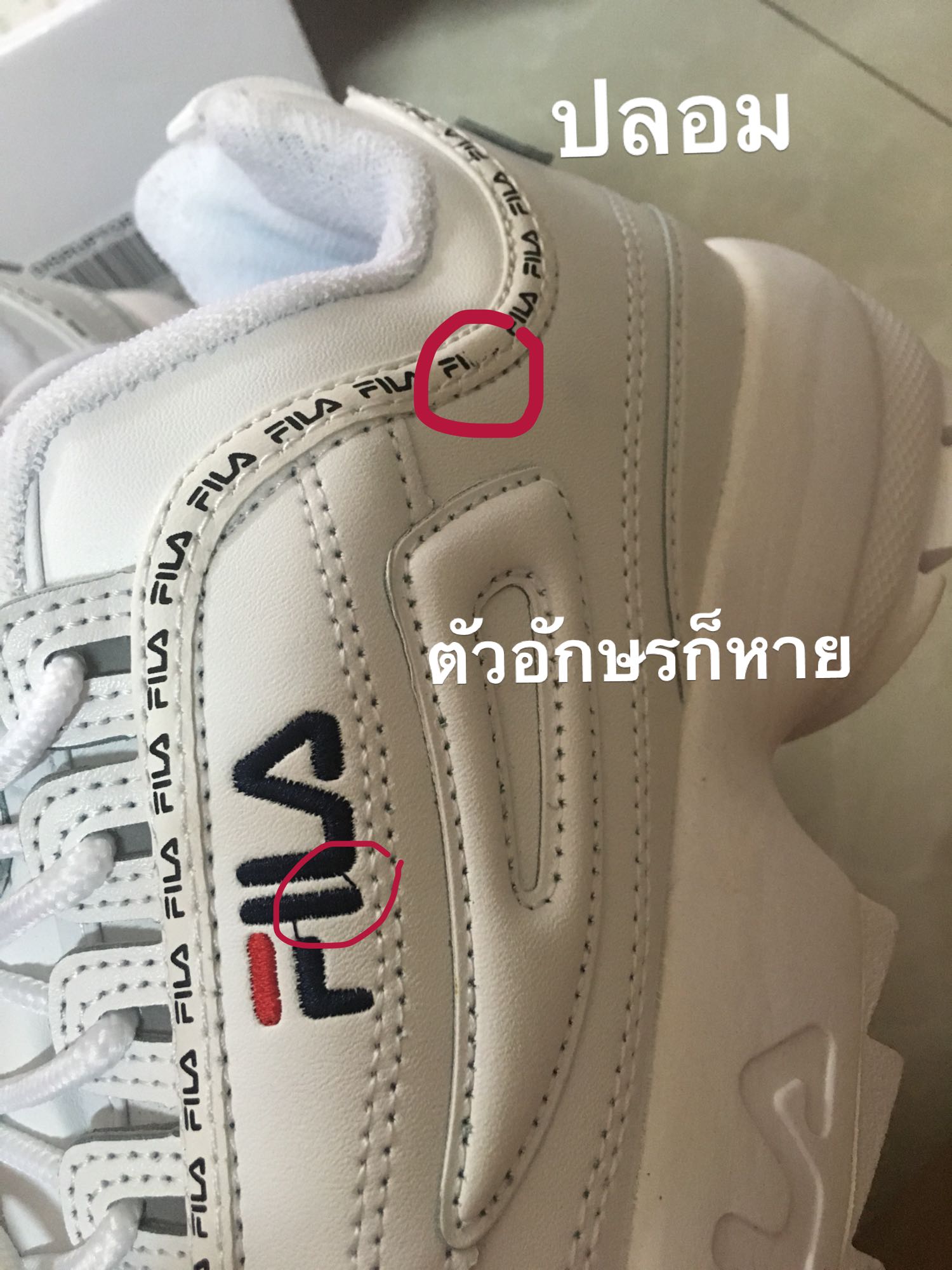 fila ray pantip