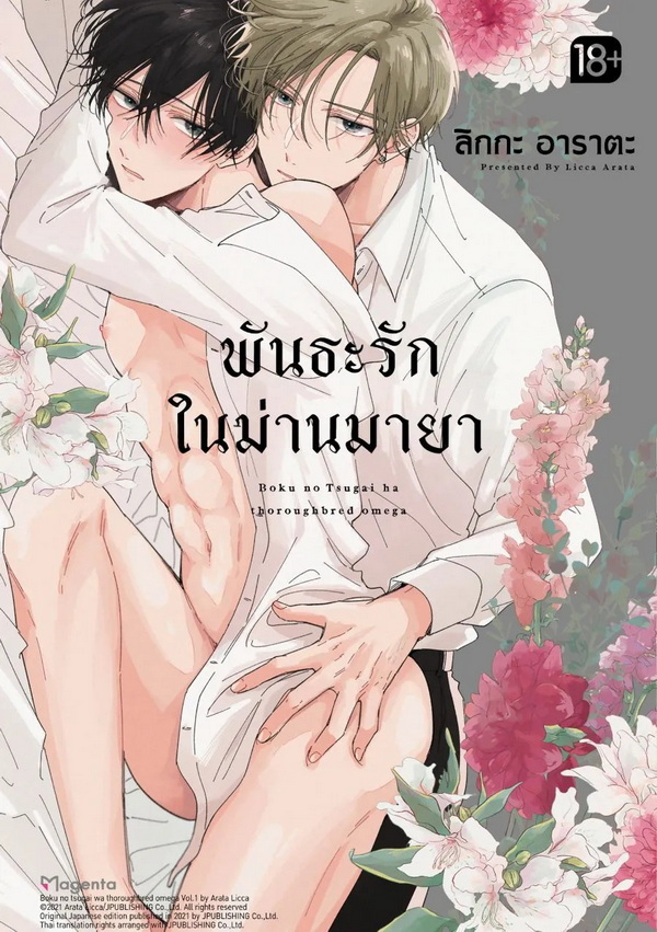 รูปภาพ