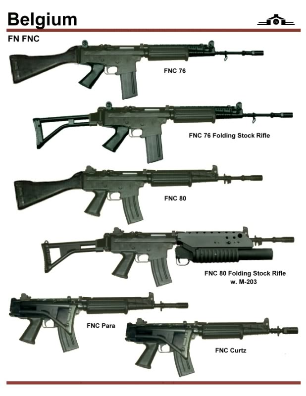 Фнк. FN FNC m203. Штурмовая винтовка FNC. FN FNC-80. FN FNC-80 штурмовая винтовка.