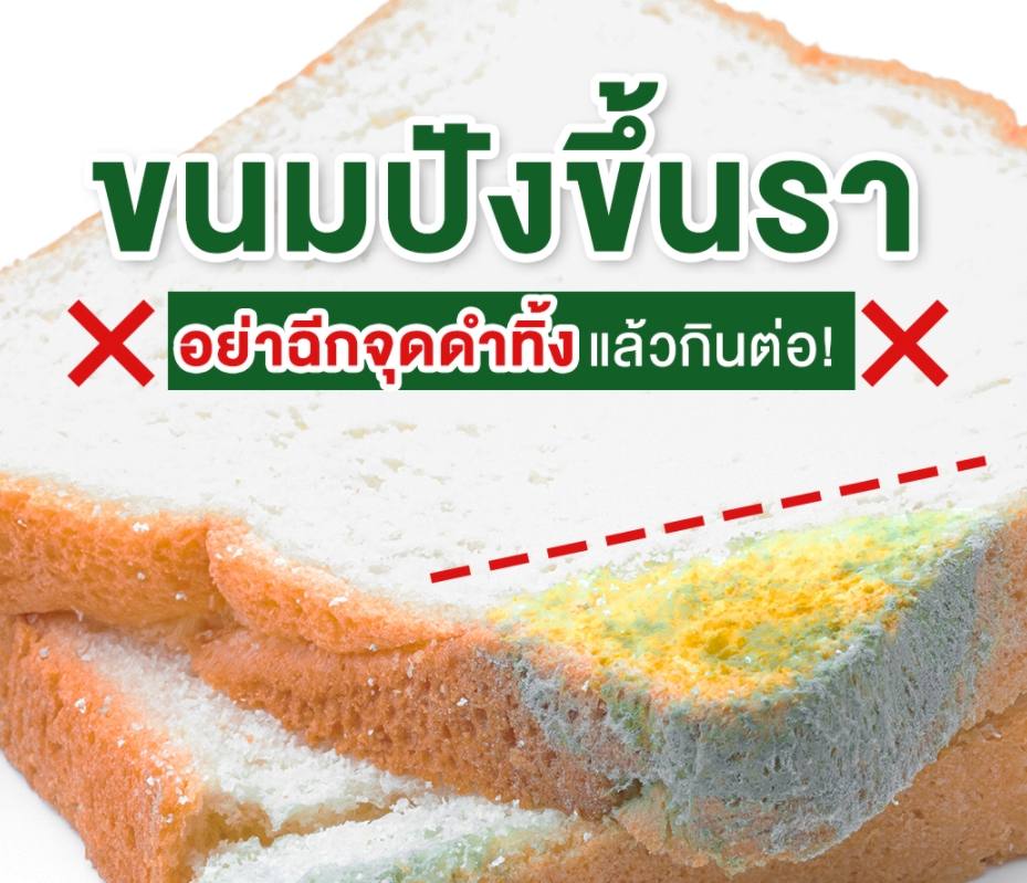 รายการ 99+ ภาพ ขนมปังขึ้นลา อัปเดต