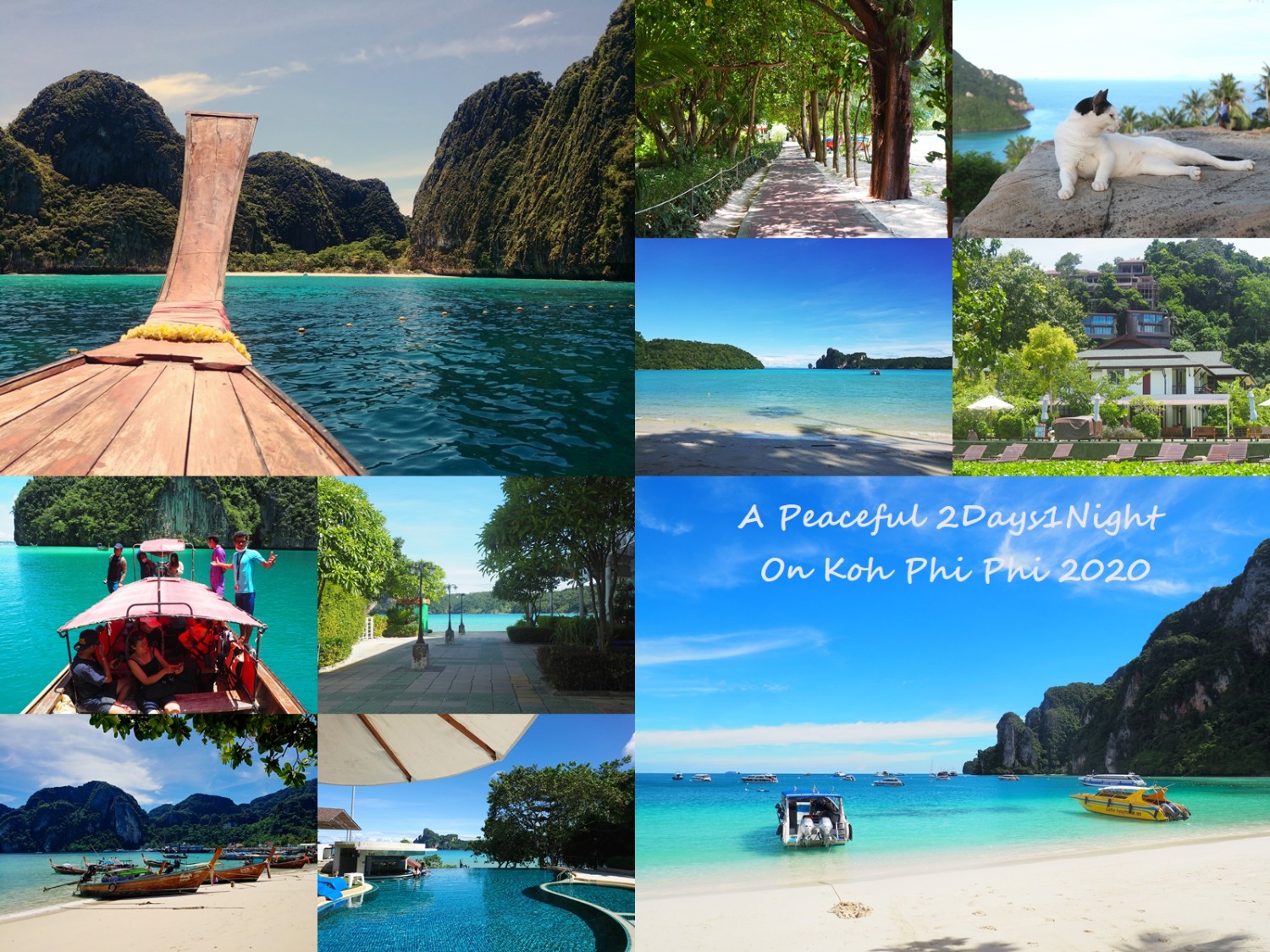 2วัน1คืนคนเดียว ณ เกาะพีพี ในวันที่เกาะเงียบสงบหมือนเมื่อ30ปีที่แล้ว Phi  Phi Islands On October 2020 - Pantip