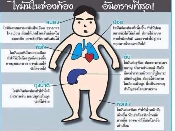 เมื่อบุคคลากรด้านสาธารณสุขลุกขึ้นมาลดความอ้วน(ตอนแรก) - Pantip