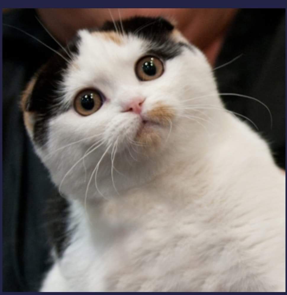 ปกติมีsexกับคนคุยกันไหมคะ - Pantip