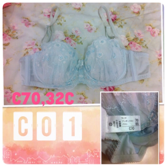ชุดชั้นในมือสองสภาพดี หลายแบรน ญี่ปุ่น Triumph Wacoal Victoria'secret