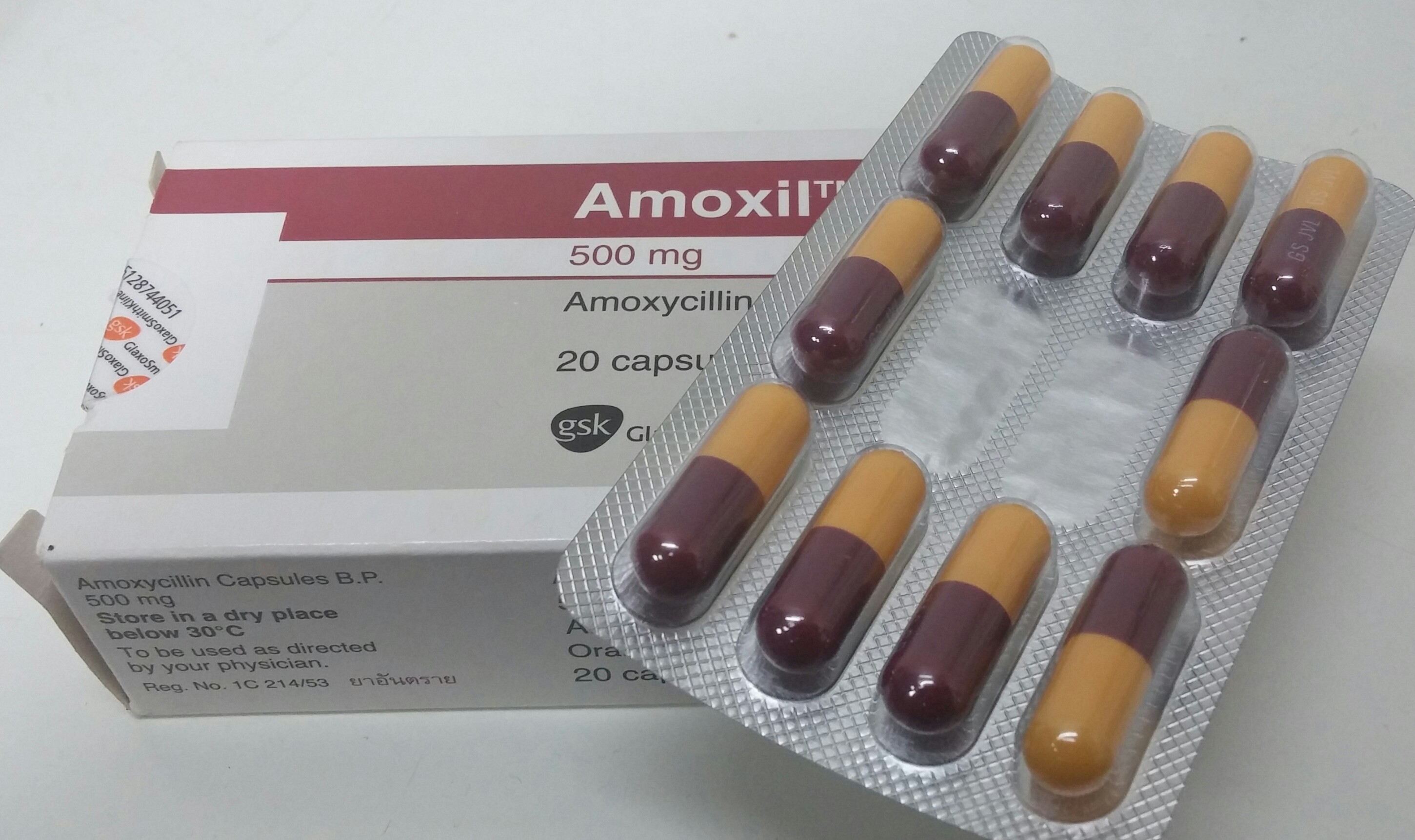 moxilin capsules 500 mg ยา อะไร tablet