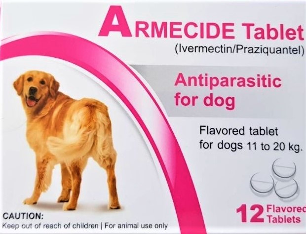 ยาถ่ายพยาธิ เห็บ หมัด หนอนหัวใจ ชื่อ Armecide ปลอดภัยกับน้องหมาไหมครับ? -  Pantip