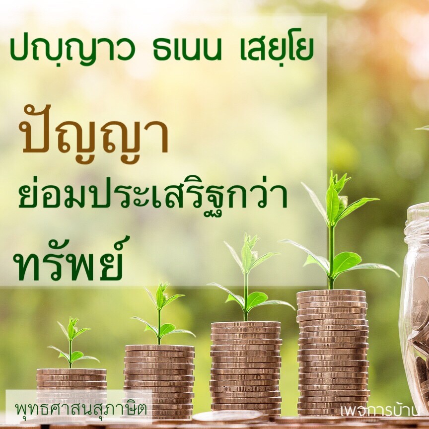 My Image 25