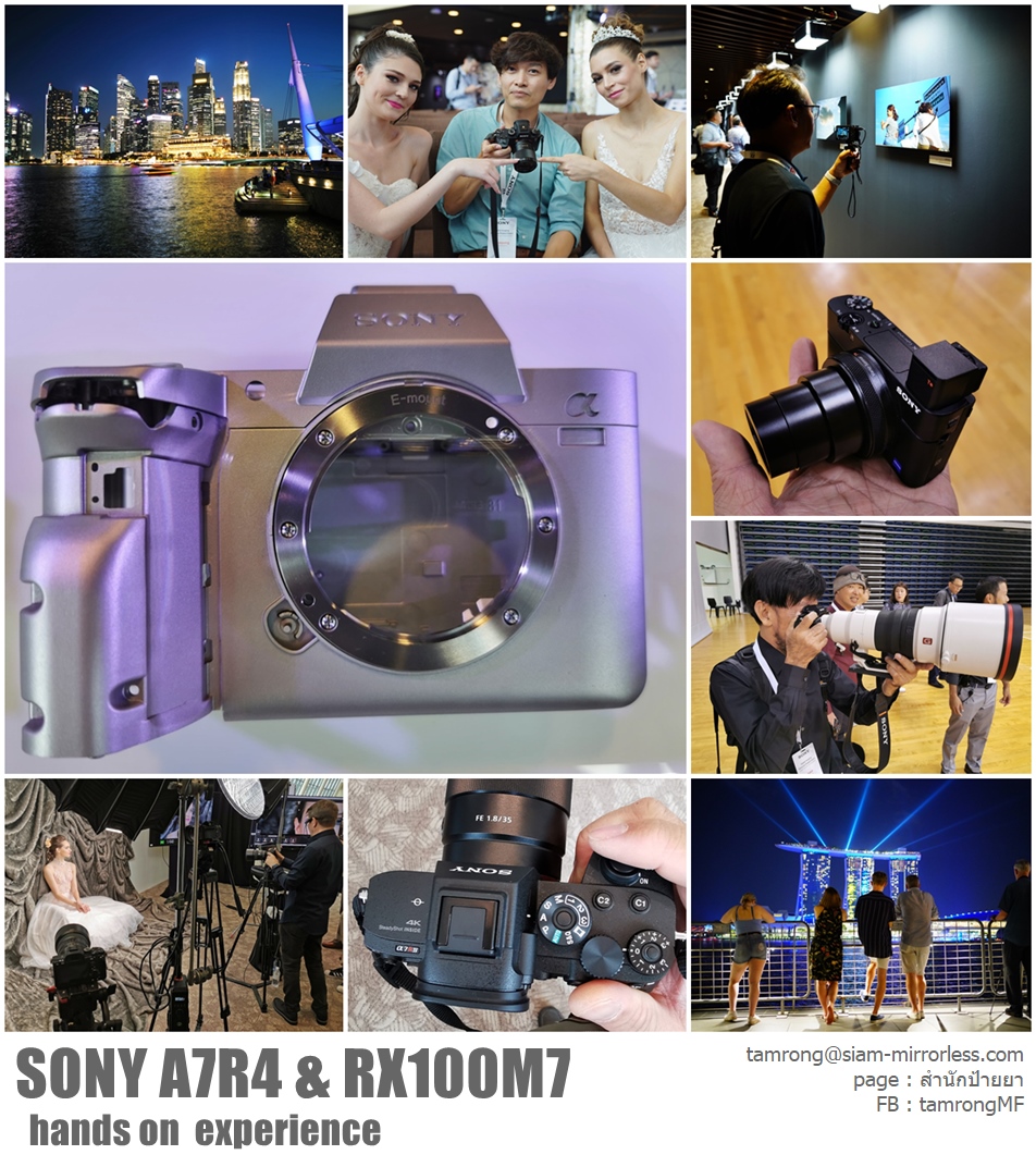 sony a7r iv pantip