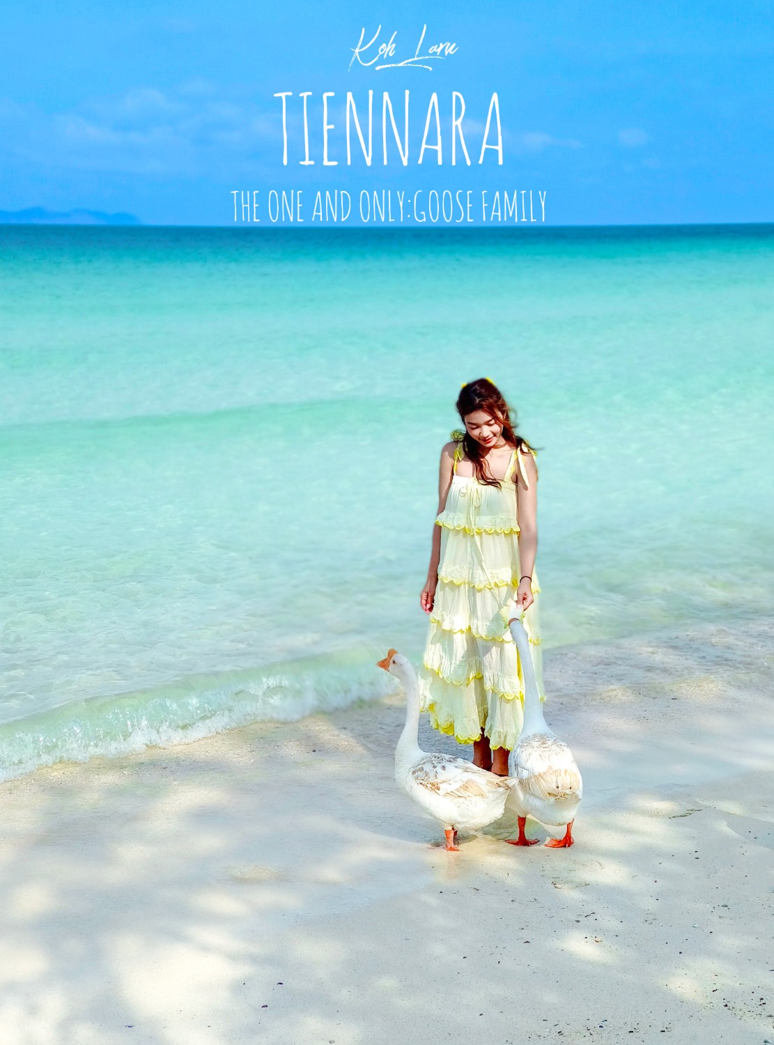 Tiennara Koh Larn Resort หาดเทียน เกาะล้าน...น้ำใส หาดสวย น้องห่านน่ารัก -  Pantip
