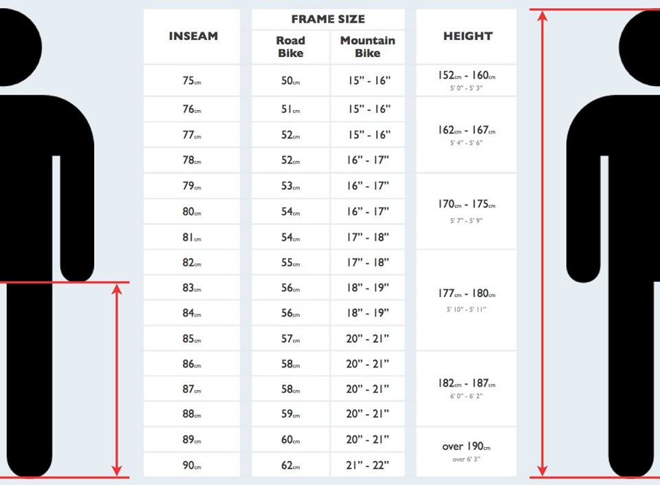 ผู้หญิงส่วนสูงประมาณ170Cm. เหมาะแก่การใชัจักรยานรุ่นไหน Size เท่าไร  ใครพอมีข้อมูลบ้างค่ะ - Pantip