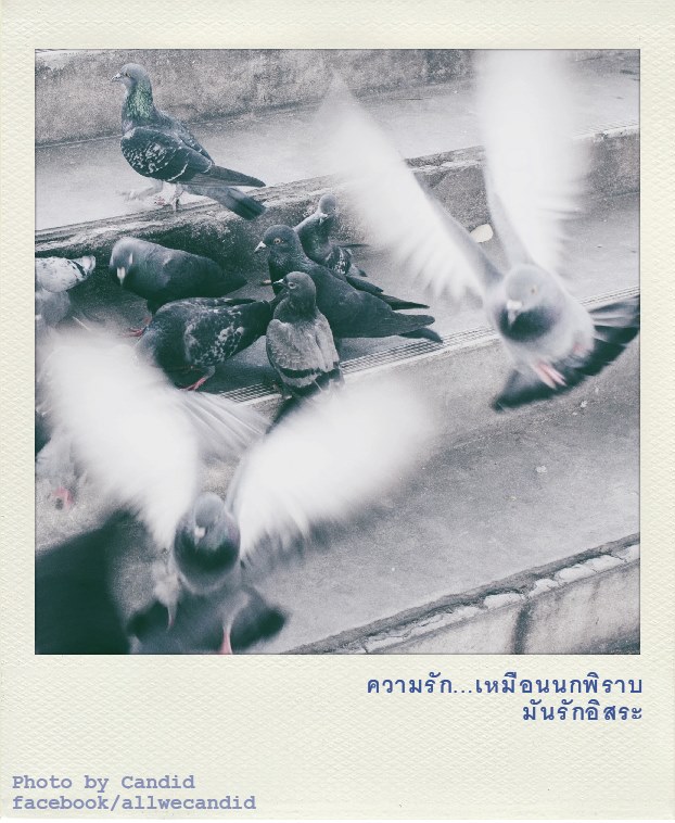 My Image 32