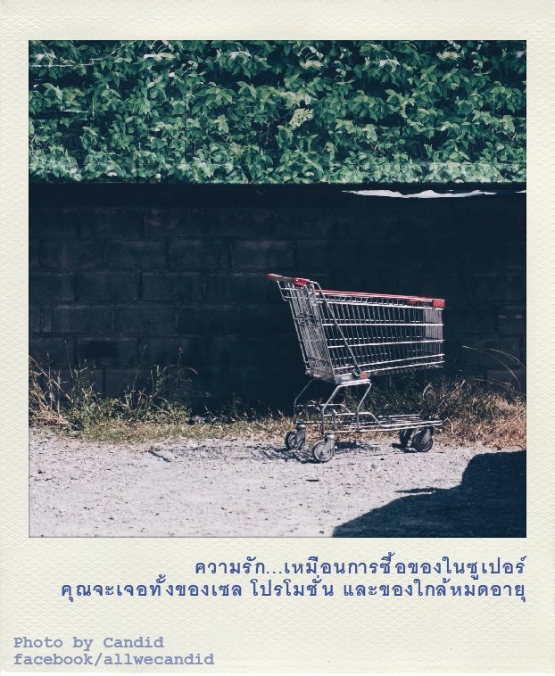 My Image 71