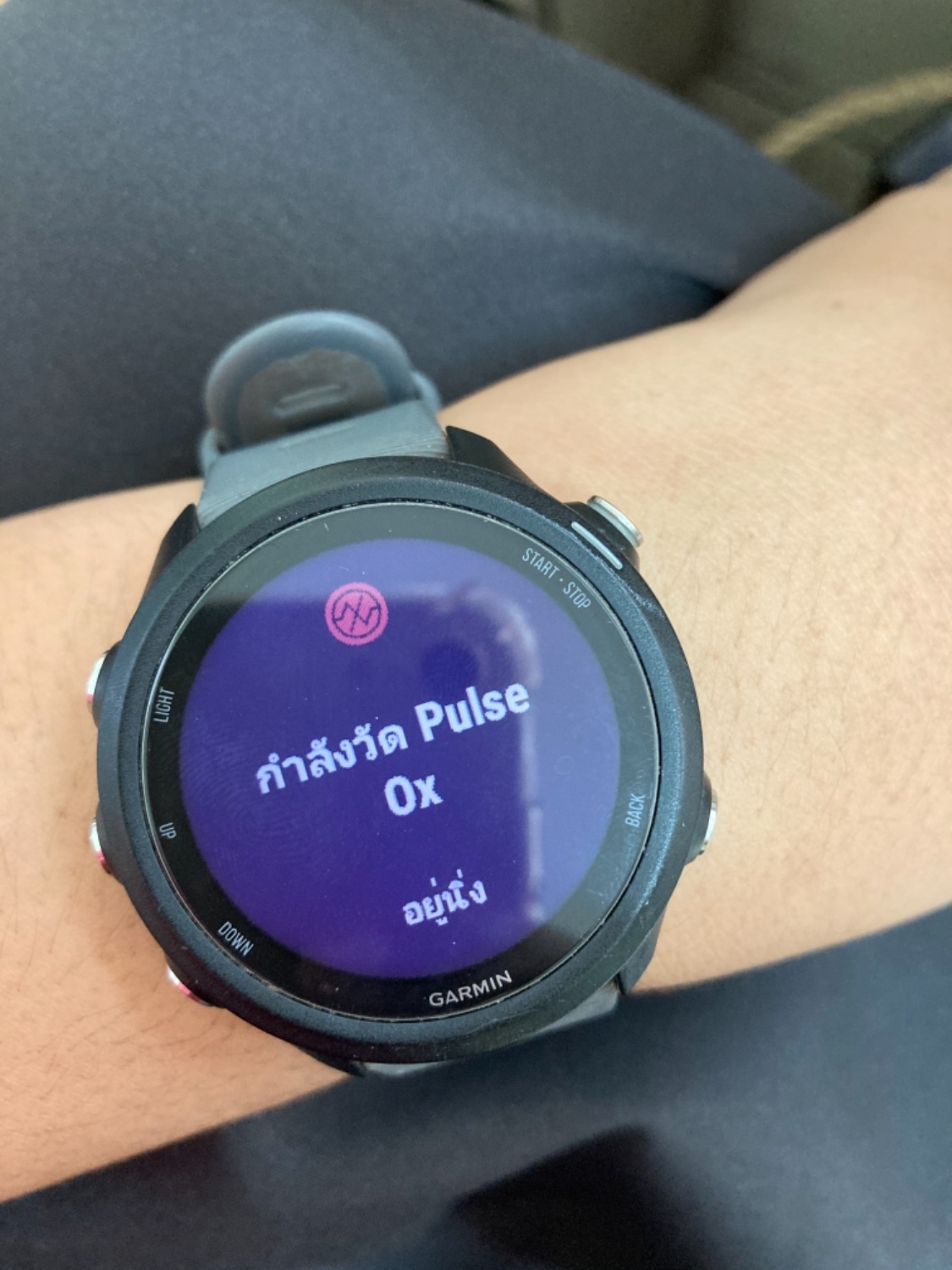 Garmin forerunner 245 store music pantip