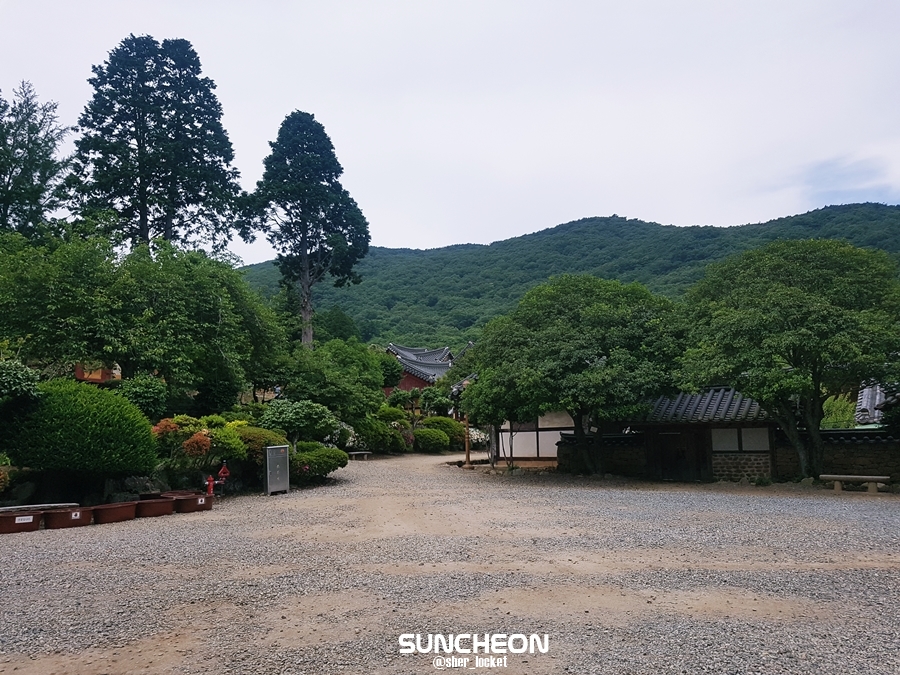 Sluts in Sunchon